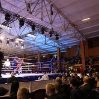 Боксери змагаються на рингу під час Чемпіонату