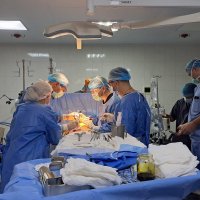 проведення трансплантації