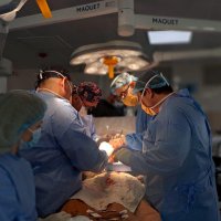 Лікарі проводять трансплантацію серця