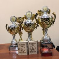 кубки турнір «Кубок Фенікса»
