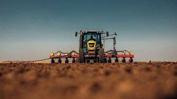 На Вінниччині озимі культури перебувають у доброму та задовільному стані