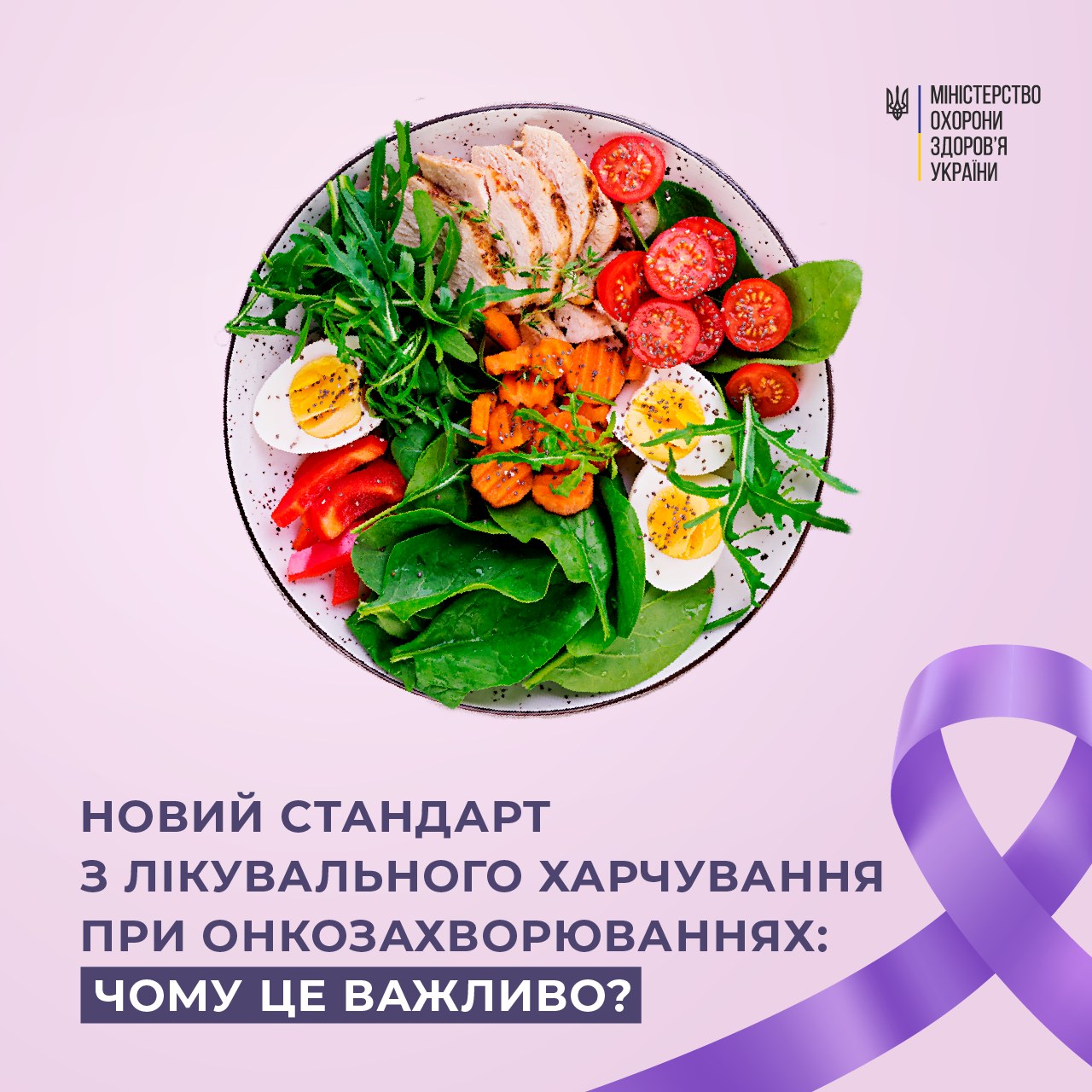 Тарілка зі здоровою їжею та напис "Новий стандарт з лікувального харчування при онкозахворюваннях: Чому це важливо?"