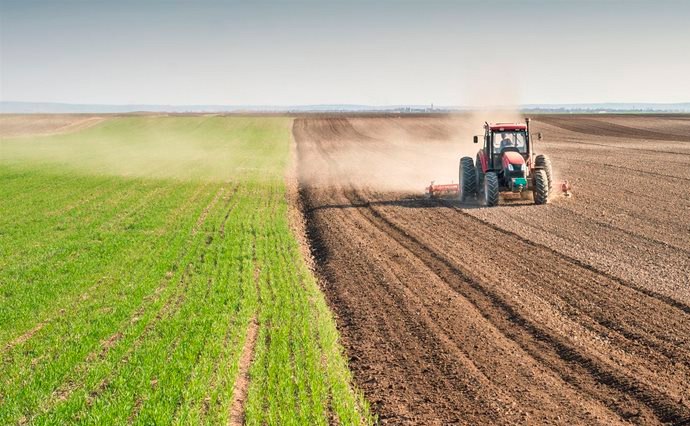 На Вінниччині завершено посів ярих зернових та зернобобових культур