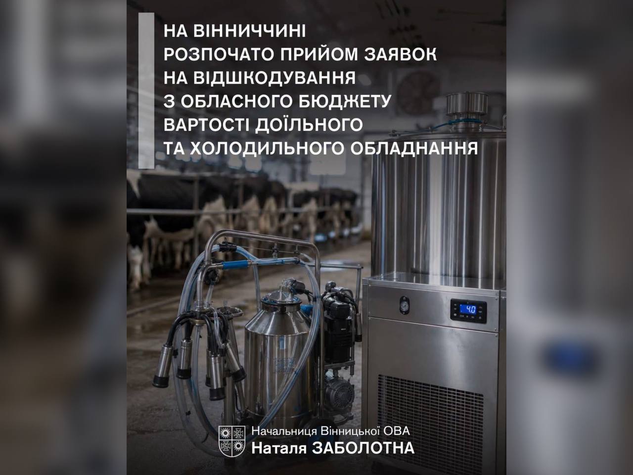 інфографіка