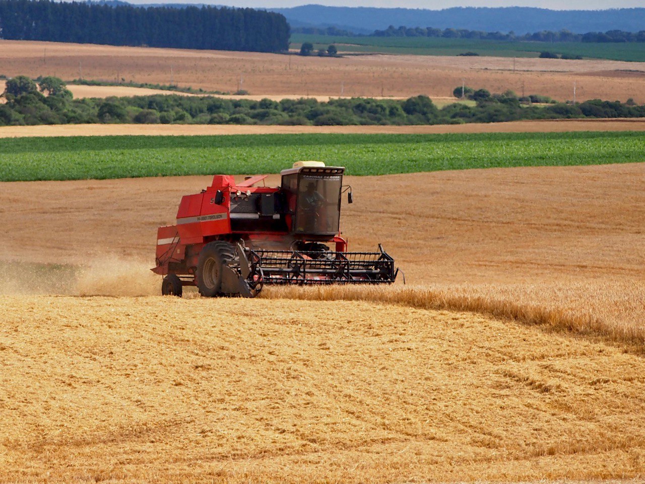 На Вінниччині намолочено майже 1,9 млн тонн зерна