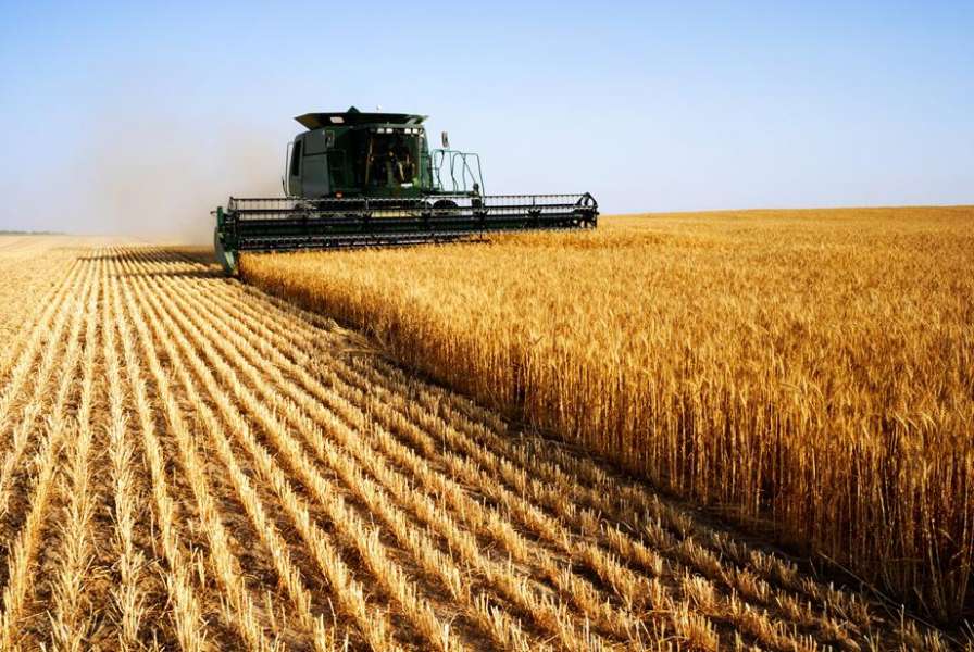 На Вінниччині продовжується збирання сільськогосподарських культур урожаю 2025 року