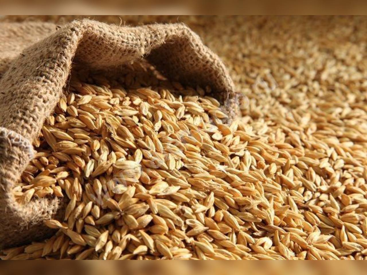 Аграріями Вінниччини продовжується збирання сільськогосподарських культур урожаю 2025 року