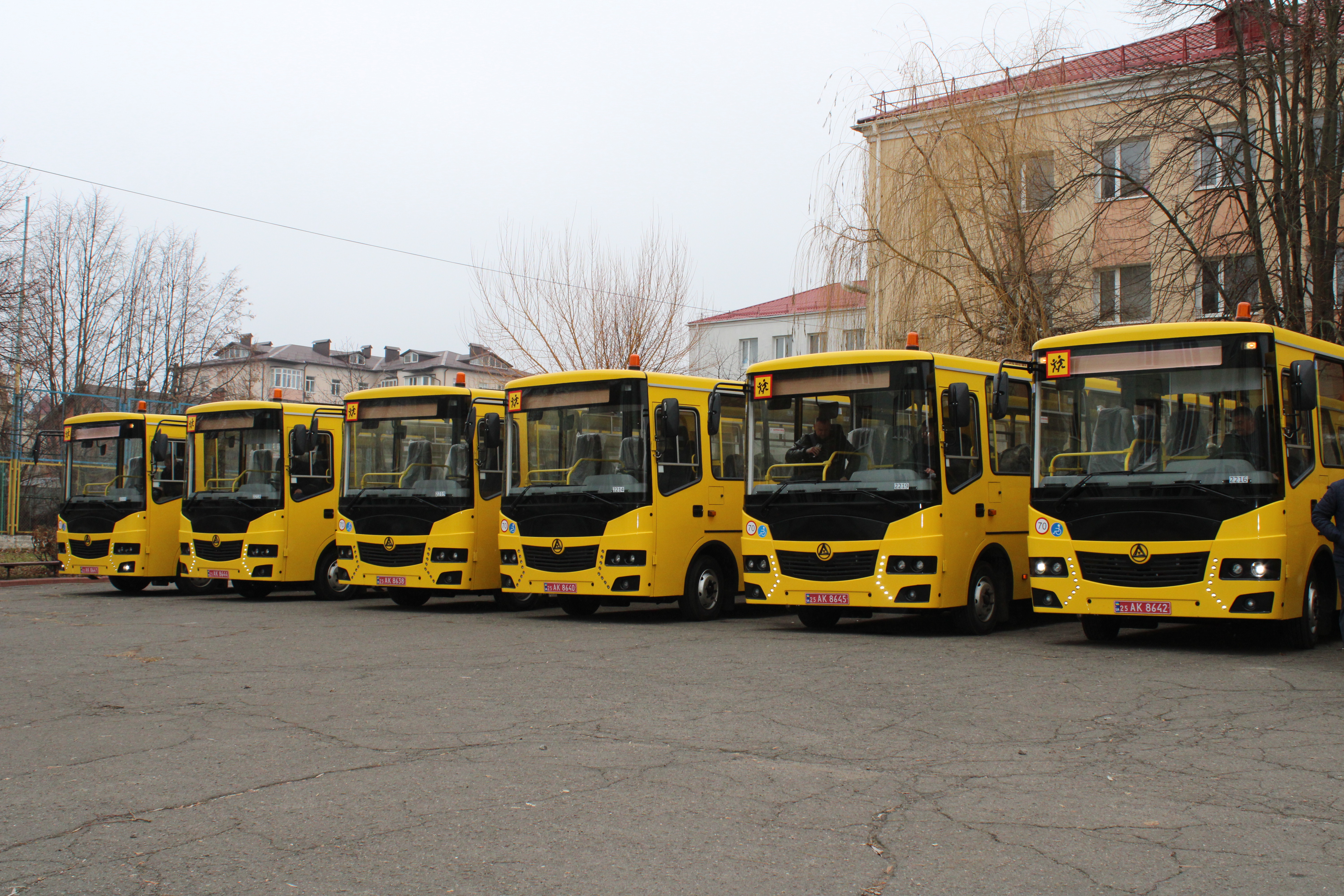 Шість жовтих шкільних автобусів.