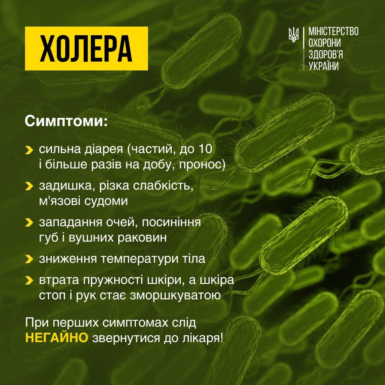 Постер МОЗ - Симптоми холери.