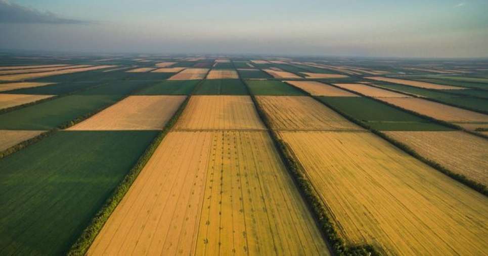 Земельна ділянка