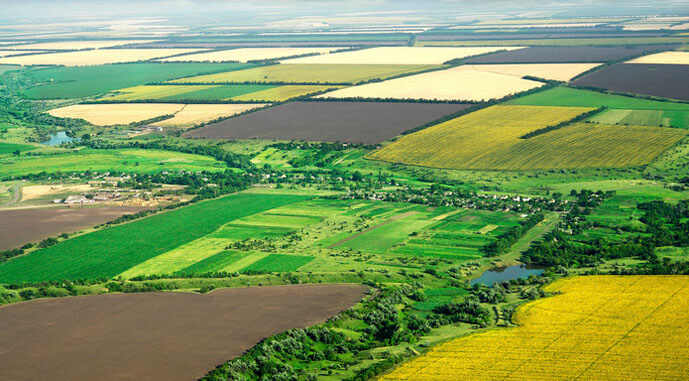 Земельна ділянка