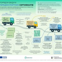 Інфографіка