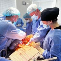 трансплантація нирок