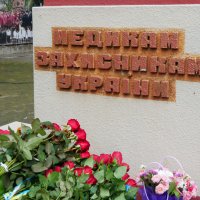 квіти біля пам’ятника медикам-захисникам України