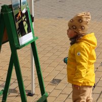 Дівчинка біля мольберта зі світлиною